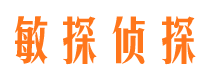 清河市侦探公司